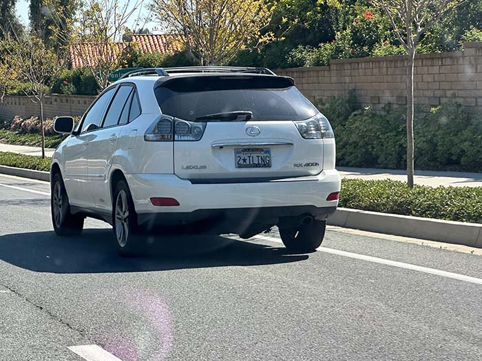 2TLING vanity license plate meaning Too Startling