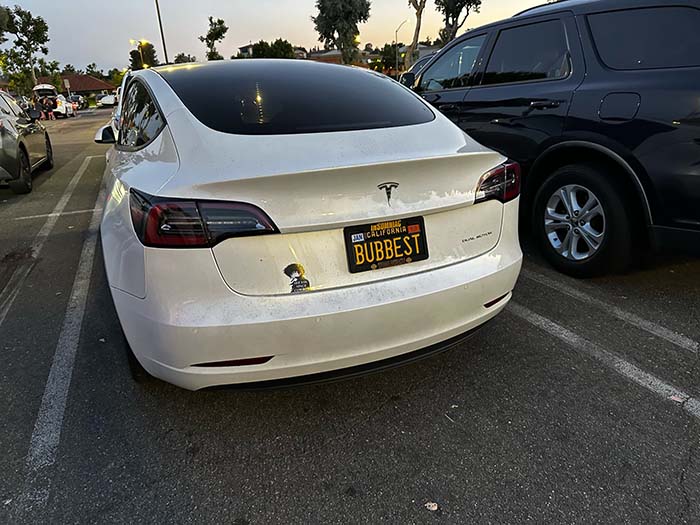 BUBBEST vanity license plate meaning Best Bub