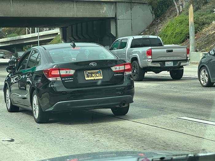 LILMRM8 vanity license plate meaning Little Mister Mate