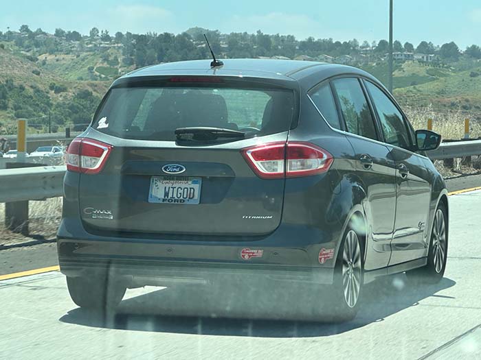 WIGOD vanity license plate