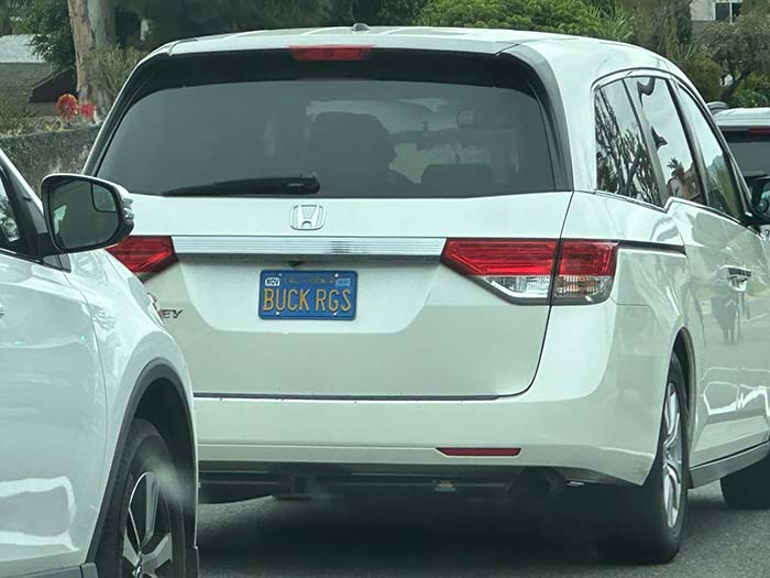 BUCKRGS vanity license plate