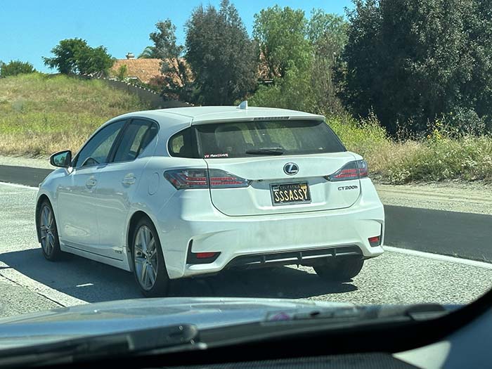 SSSASSY vanity license plate meaning Sassy!