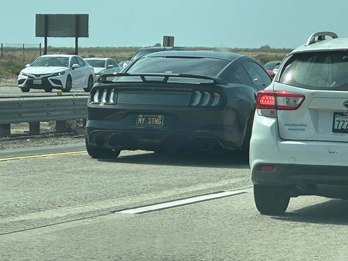 MYSTNG vanity license plate
