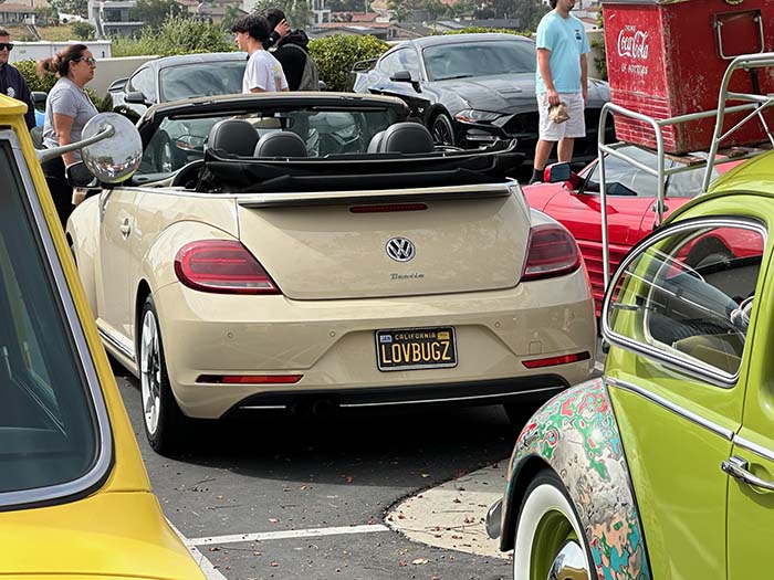 LOVBUGZ vanity license plate meaning Love (VW) Bugs