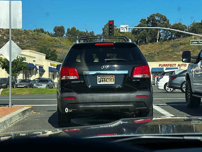 PISINGA vanity license plate