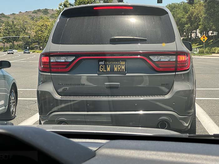 GLWWRM vanity license plate meaning Glow Worm