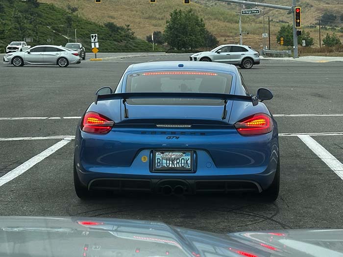 BLUKROK vanity license plate meaning Blue Crocodile
