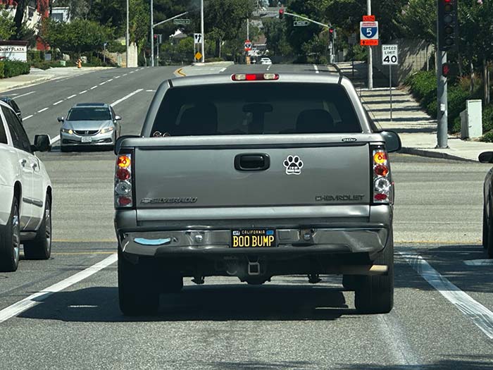 BOOBUMP vanity license plate meaning Boo Bump