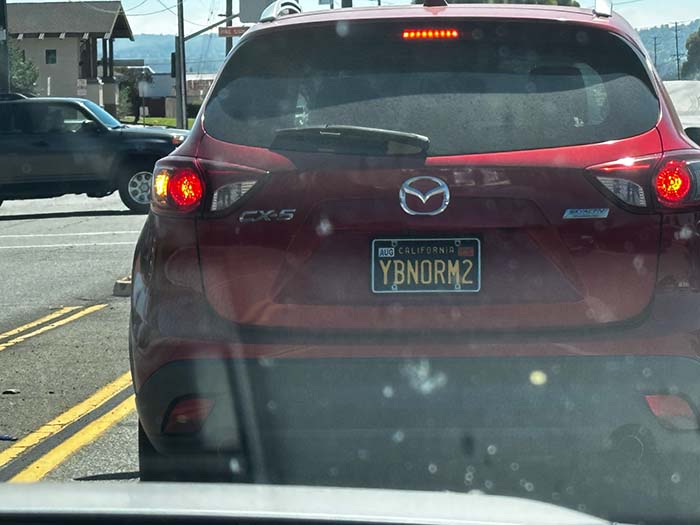 YBNORM2 vanity license plate meaning Why Be Normal 2