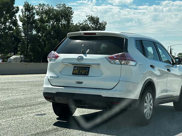 WNEPAPI vanity license plate meaning Whiny Pappy (dad)