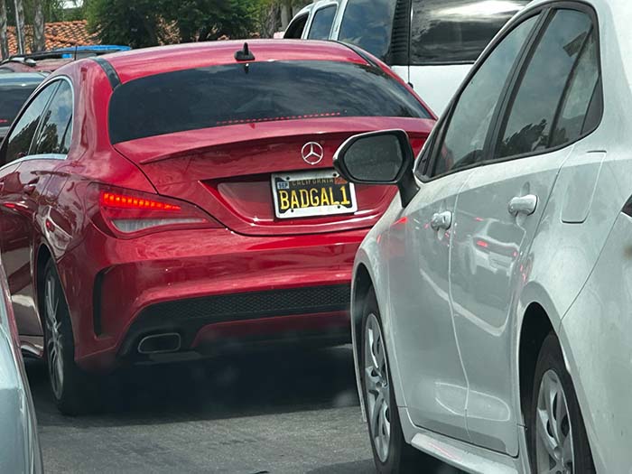 BADGAL1 vanity license plate meaning Bad Gal Won
