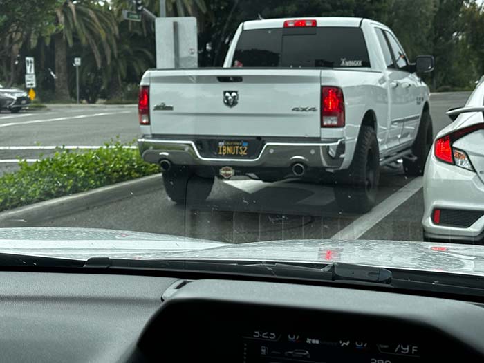 IBNUTS2 vanity license plate
