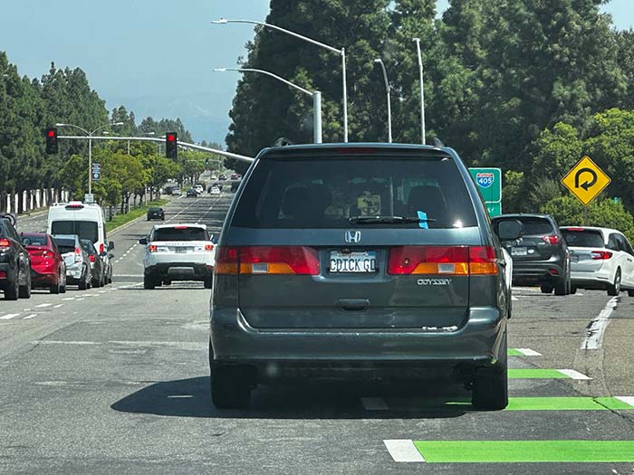 CDICKGO vanity license plate