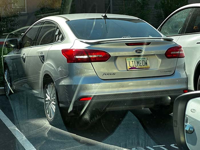 LILMEOW vanity license plate meaning Little Meow