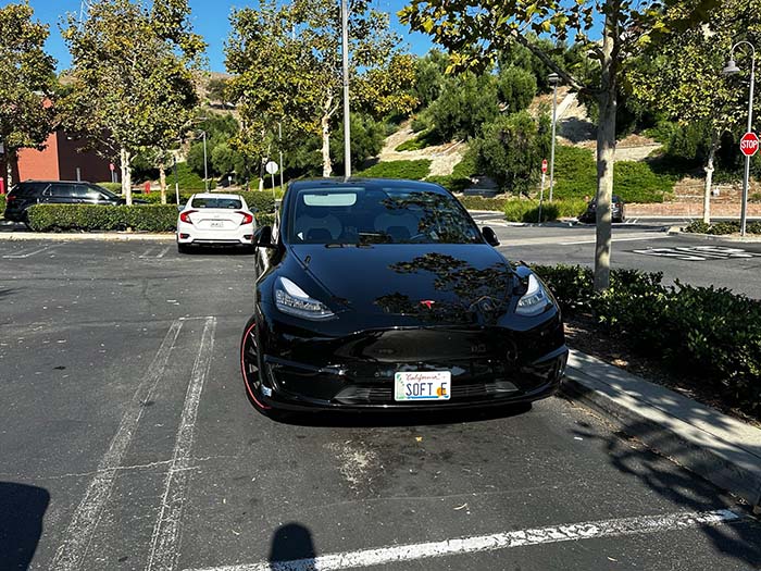 SOFTE vanity license plate meaning Softy