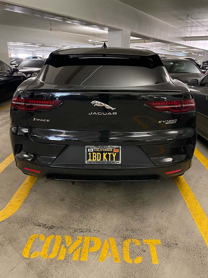 1BDKTY vanity license plate meaning One Bad Kitty