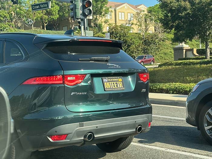 ANTEETR vanity license plate meaning (UC Irvine) Anteater