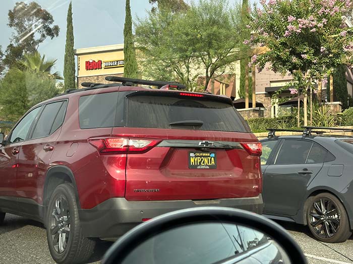 MYP2NIA vanity license plate meaning My Petunia
