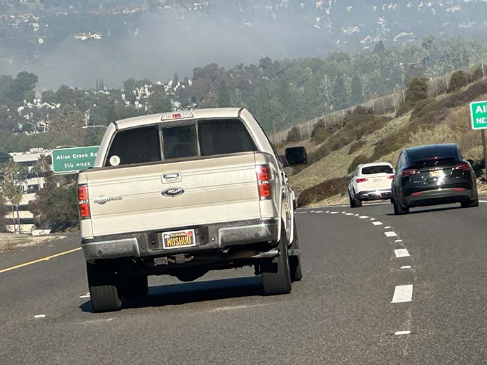 MUSHUU vanity license plate