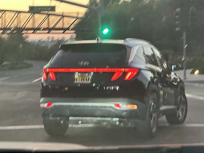 T8RTOTS vanity license plate meaning Tater Tots