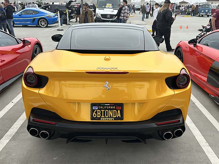 6BIONDA vanity license plate