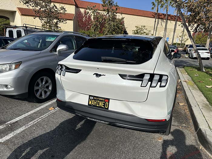 WAHINEO vanity license plate meaning Whino