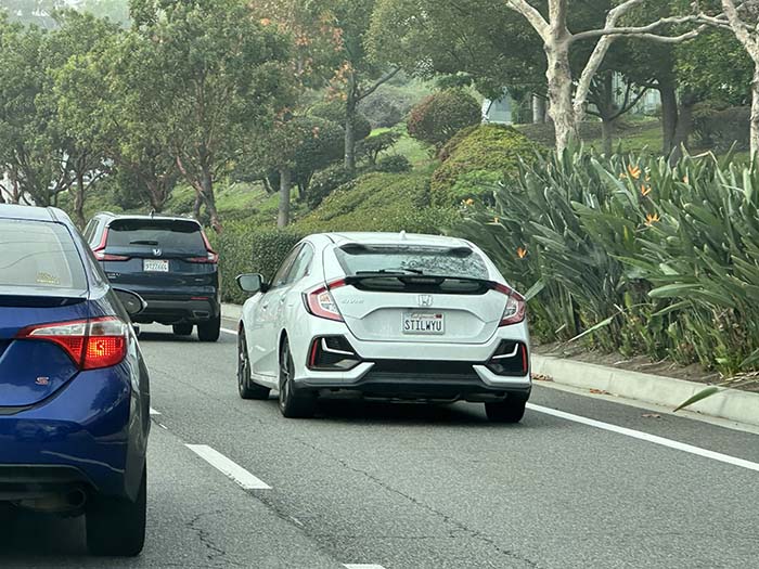 STILWYU vanity license plate