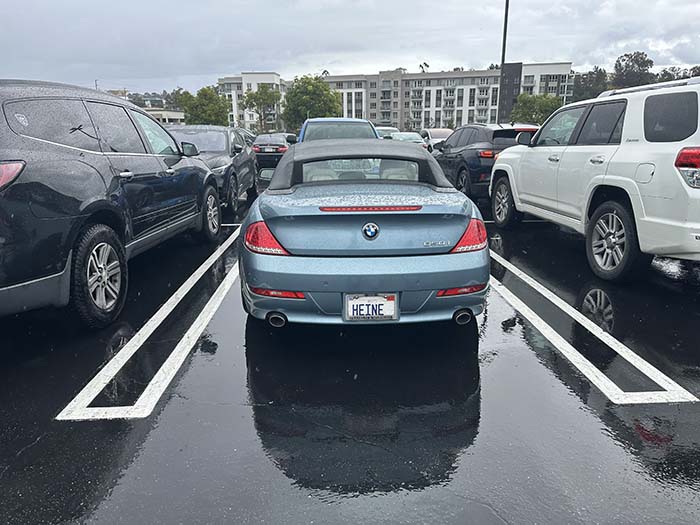 HEINE vanity license plate meaning Ruler of the Home