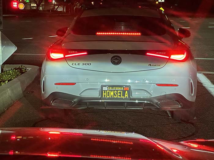 HOMSELA vanity license plate