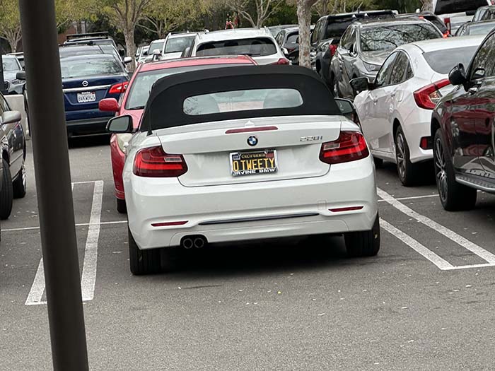 OTWEETY vanity license plate