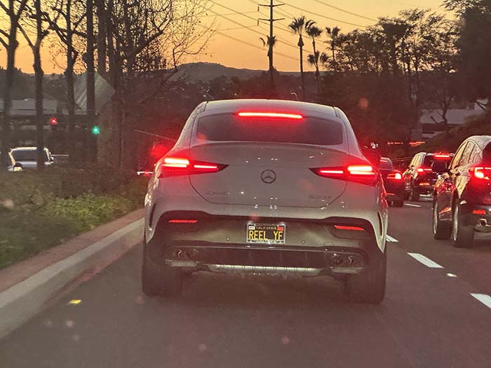 REELYF vanity license plate meaning Real Wife