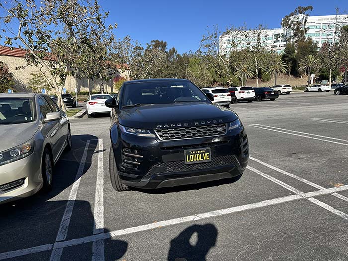 LOUDLVE vanity license plate meaning Loud Love