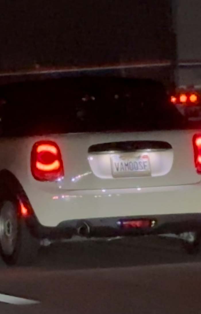 VAMOOSE vanity license plate meaning Vamoose (let's go!)