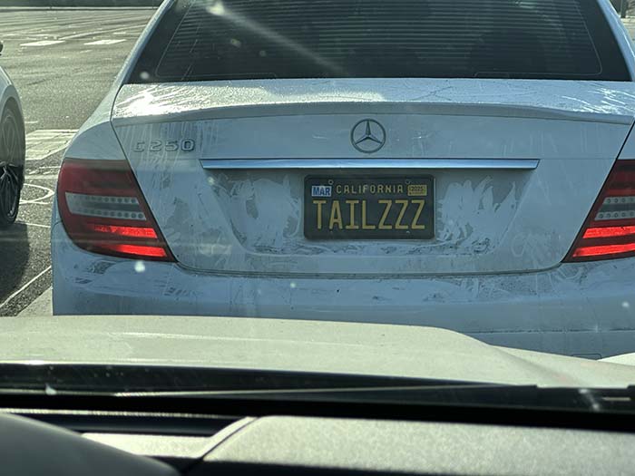 TAILZZZ vanity license plate meaning Tails