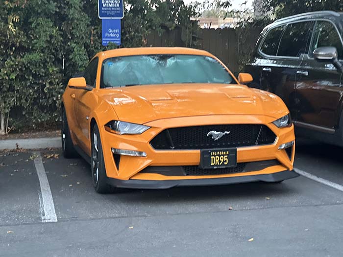 DR95 vanity license plate
