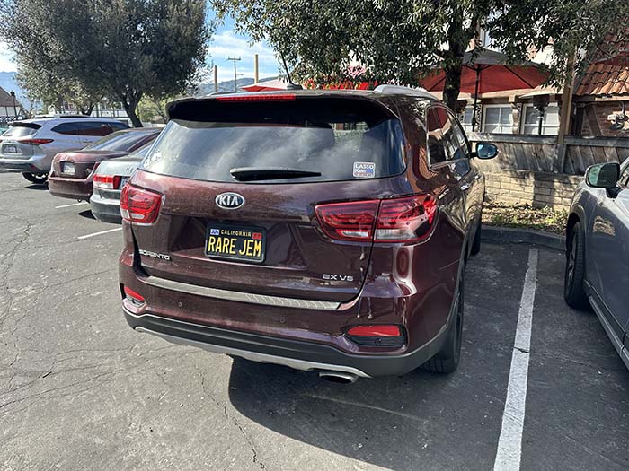 RAREGEM vanity license plate meaning Rare Gem