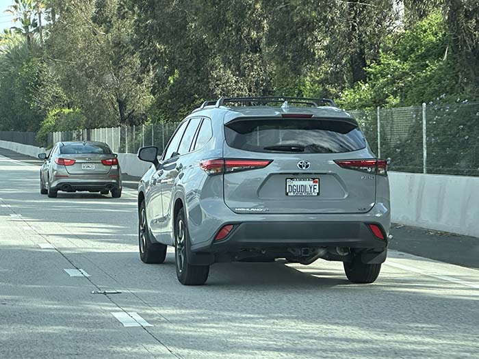 DGUDLYF vanity license plate