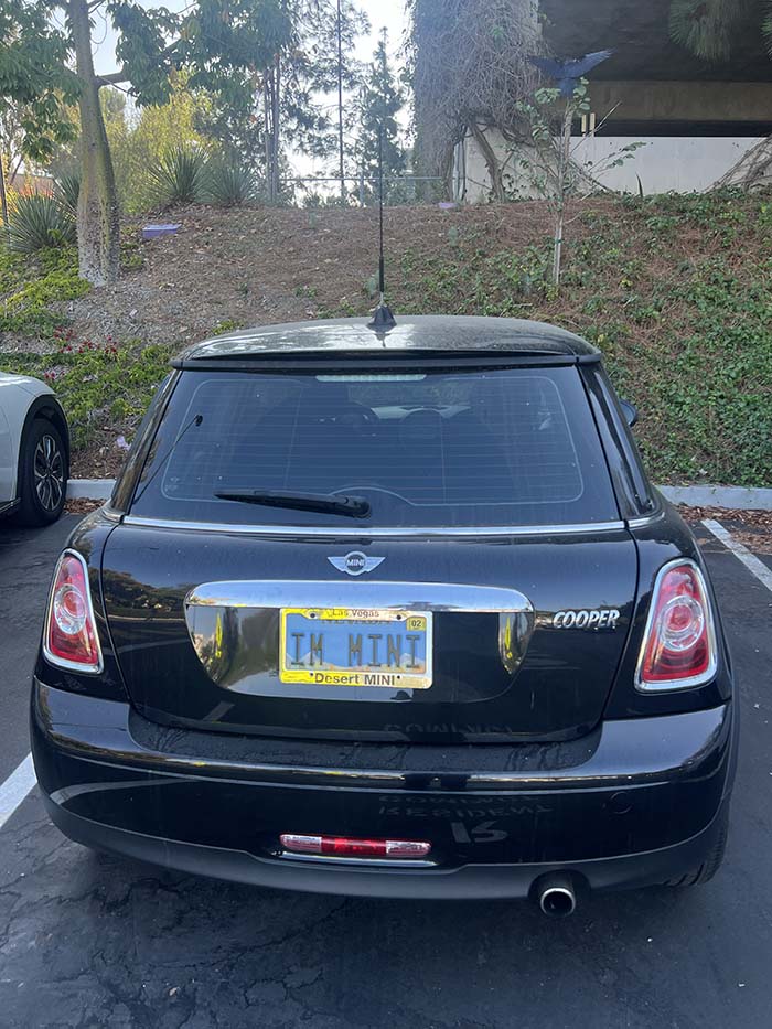 IMMINI vanity license plate meaning I'm MINI