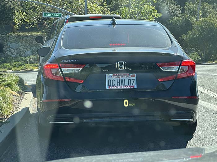 OCHALOZ vanity license plate