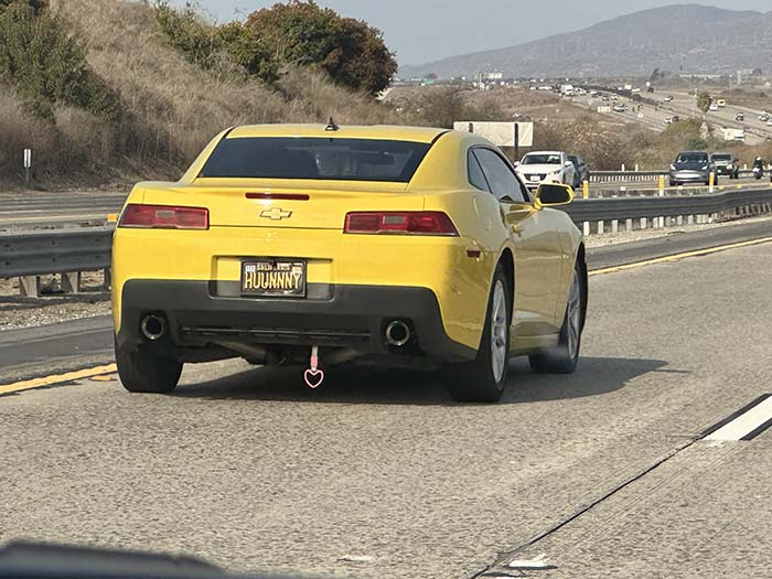 HUUNNNY vanity license plate