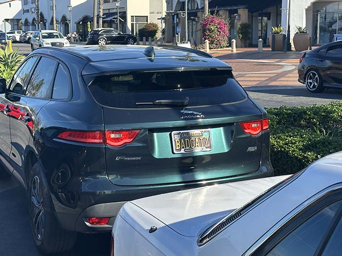 BADCATZ vanity license plate meaning Bad Cats