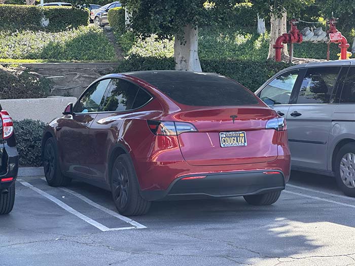 COUGLUV vanity license plate