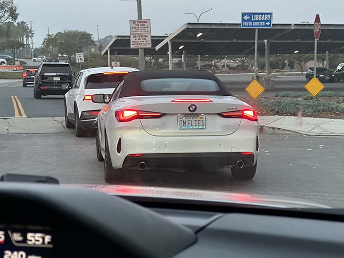TMFLIES vanity license plate
