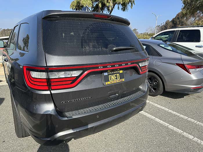 ONED vanity license plate meaning Owned