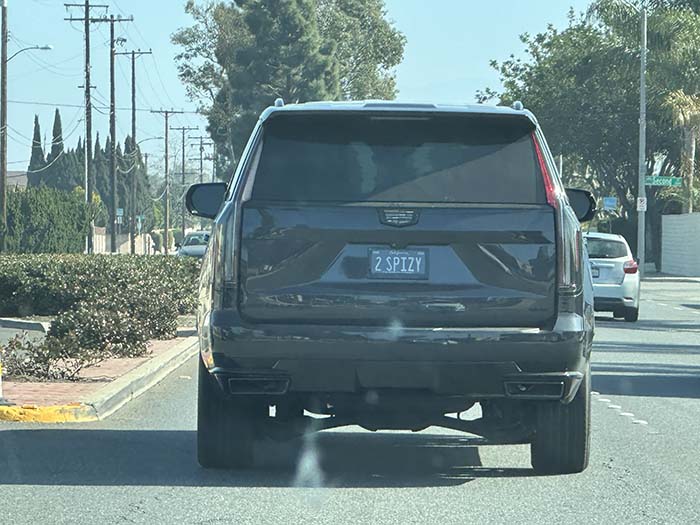 2SPIZY vanity license plate