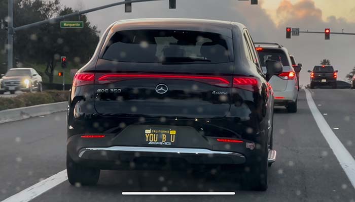 YOUBU vanity license plate meaning You Be You