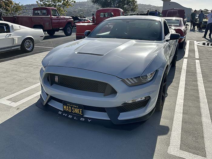 MADSNKE vanity license plate meaning Mad Snake (Cobra)