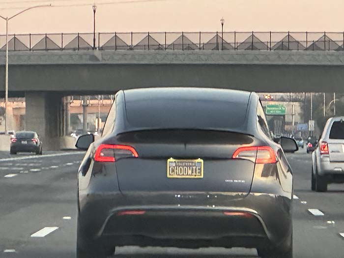 CHOOWIE vanity license plate