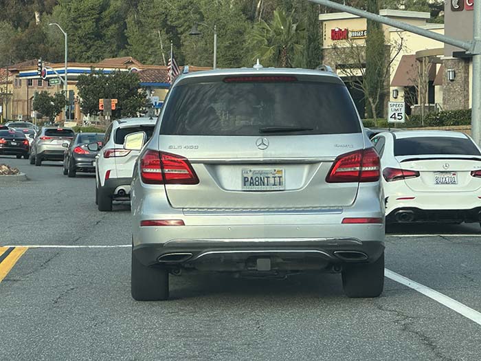 PA8NTIT vanity license plate