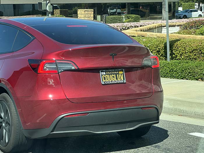 COUGLUV vanity license plate meaning Cougar Love